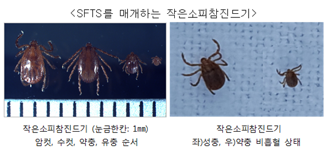1fbe35db37bfd51209f78d8f8ee0c591_1741076545_7953.png