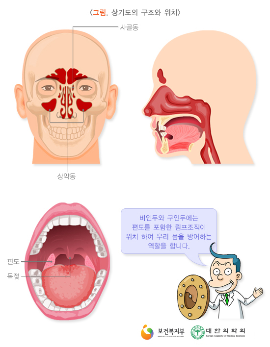 1fbe35db37bfd51209f78d8f8ee0c591_1741080120_2173.jpg